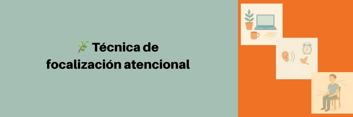 focalizacion atencional, ver oir y sentir