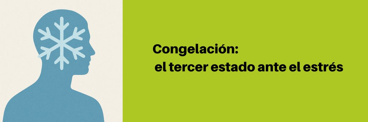 Congelación, el tercer estado ante el  estrés
