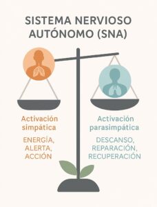 balanza SNA desequilibrada